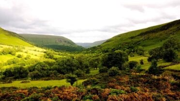 The Castle, Powys – Green valley landscape with rolling hills, scattered woodland and pasture fields.